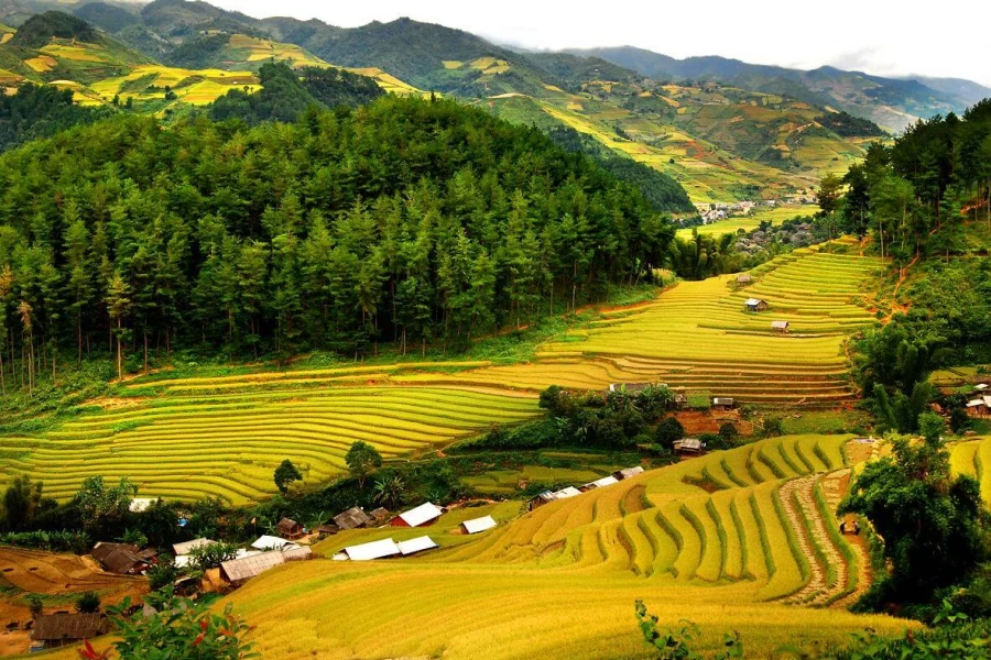 Biking Tour Vietnam 3 Days